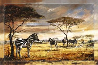 Poster - Zebras Enmarcado de cuadros